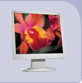 Acer 17' TFT AL1715